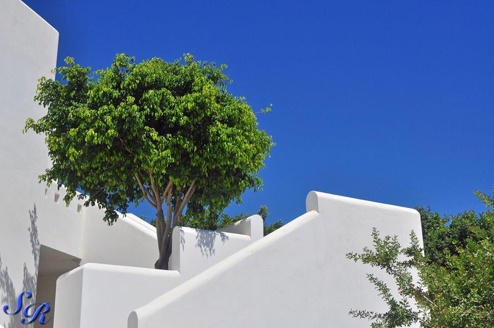 Sarakiniko Rooms آداماس المظهر الخارجي الصورة